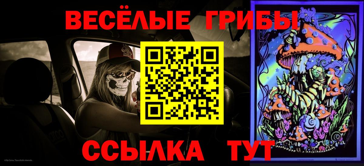 Кашира  Галлюциногенные грибы ЛСД  Вход с VPN 